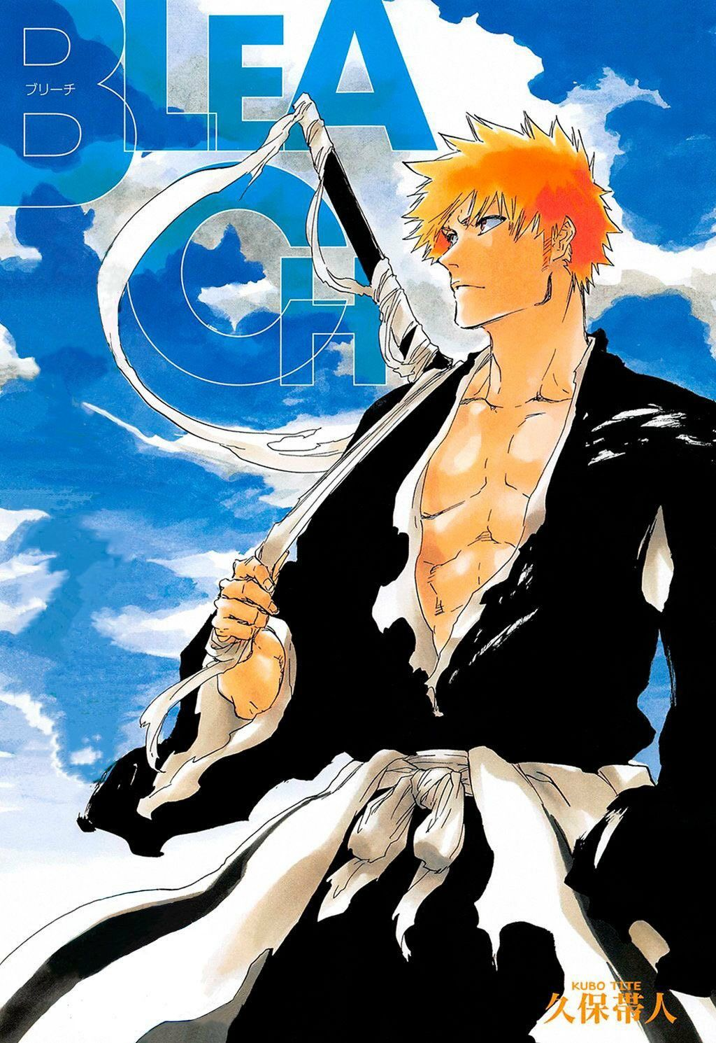 Bleach Series