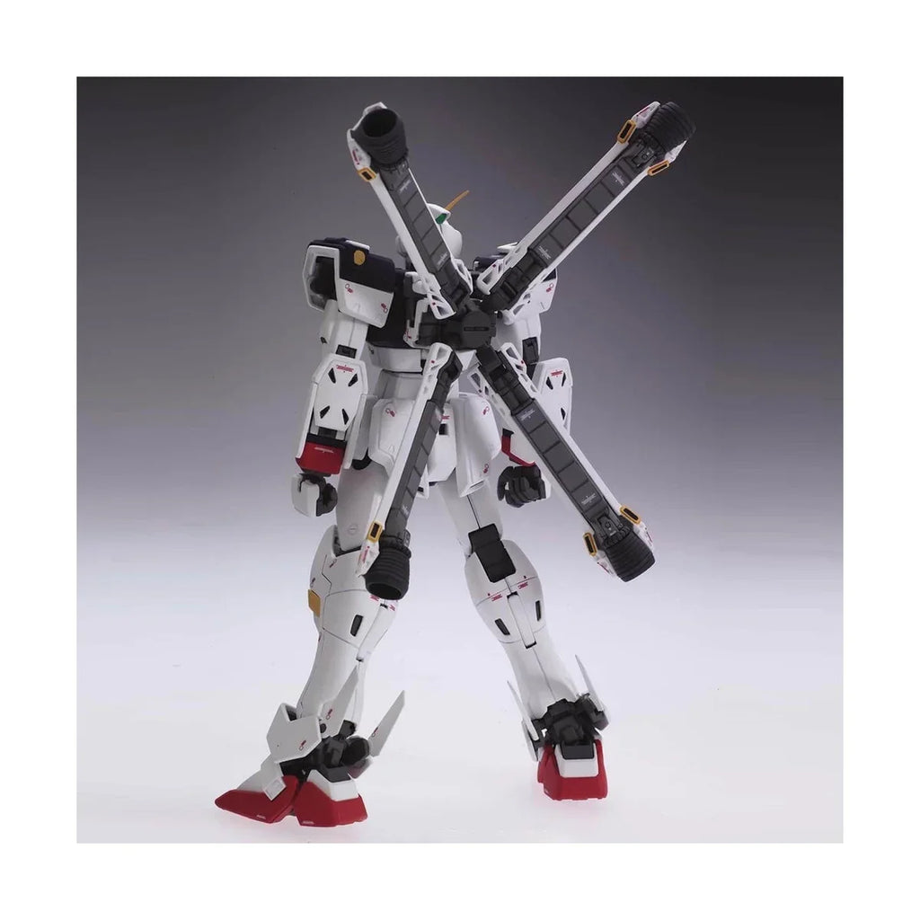 Bandai MG Mobile Suit Cross Bone Gundam Master Grade Cross Bone X1 Ver.Ka Model Kit Figure