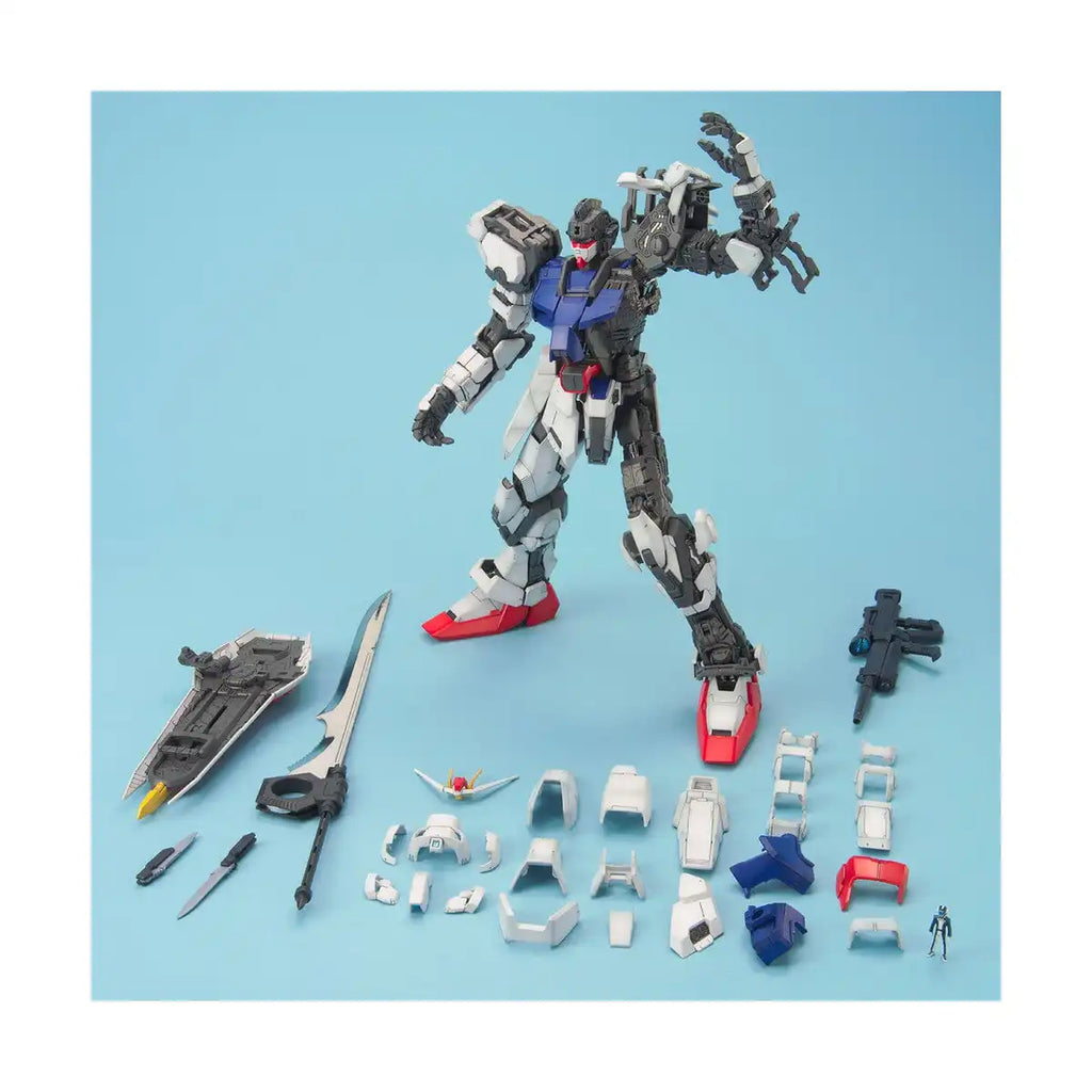 Bandai PG Mobile Suit Gundam Seed Perfect Grade Strike Model Kit Figure