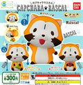 Bandai Capchara Rascal All 3 Set Gashapon Mascot Capsule Figures